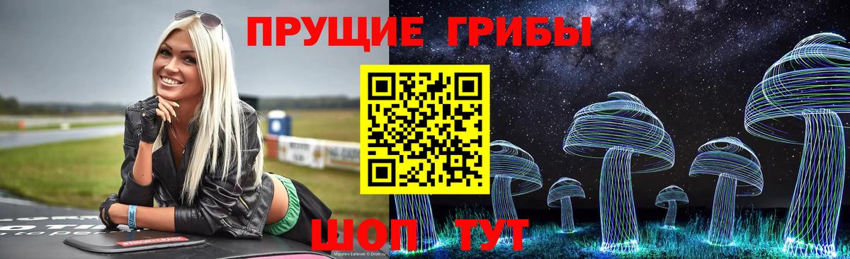 Дербент  Галлюциногенные грибы GOLDEN TEACHER  Вход с VPN 